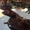 2002 Kuhn FC 303 GL Mountedandtrailedmowers â€” Machinery Depot Pro