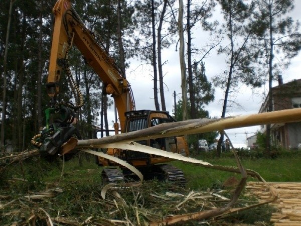 2009 Lako Forest 63 Forestryharvesterheads â€” Machinery Depot Pro