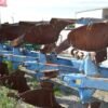 Rabe Wendepflug Reversibleploughs â€” Machinery Depot Pro
